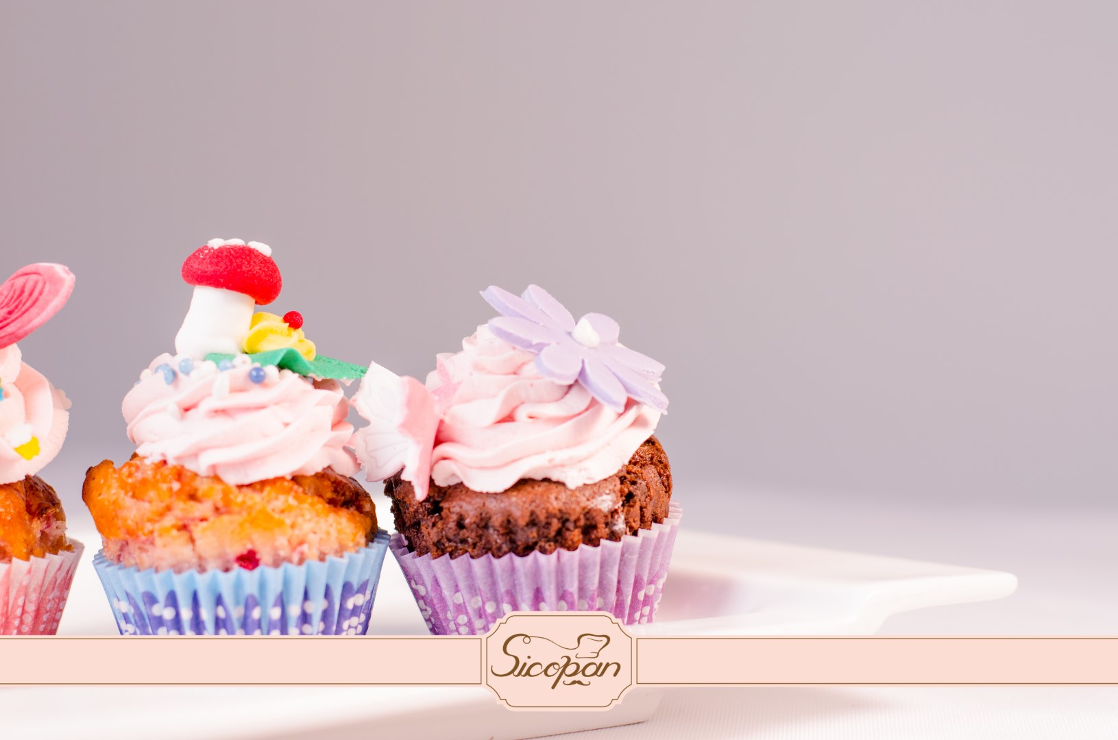 MiniBrioșe - imagine 6