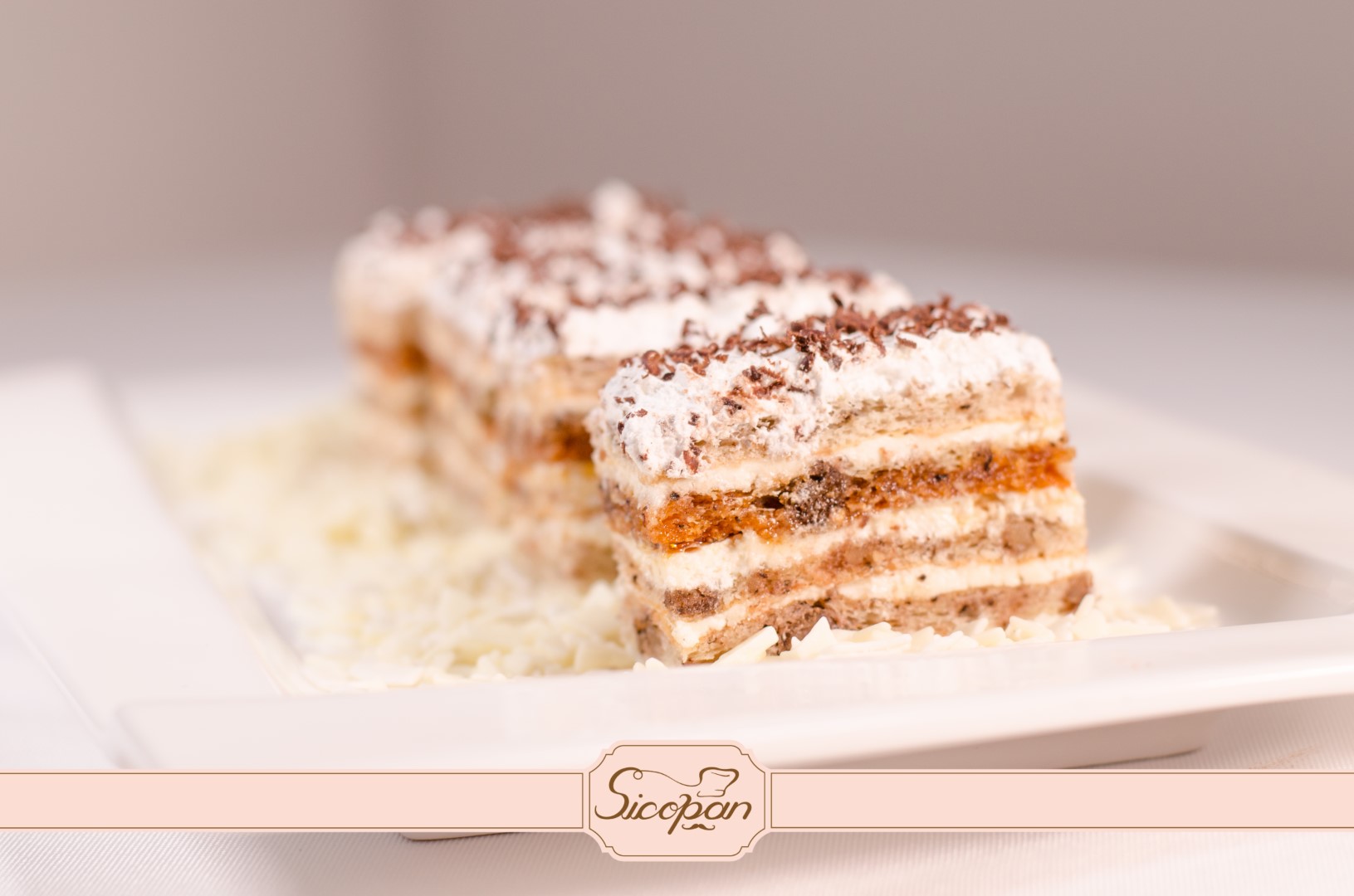 Petre Roman - imagine 5