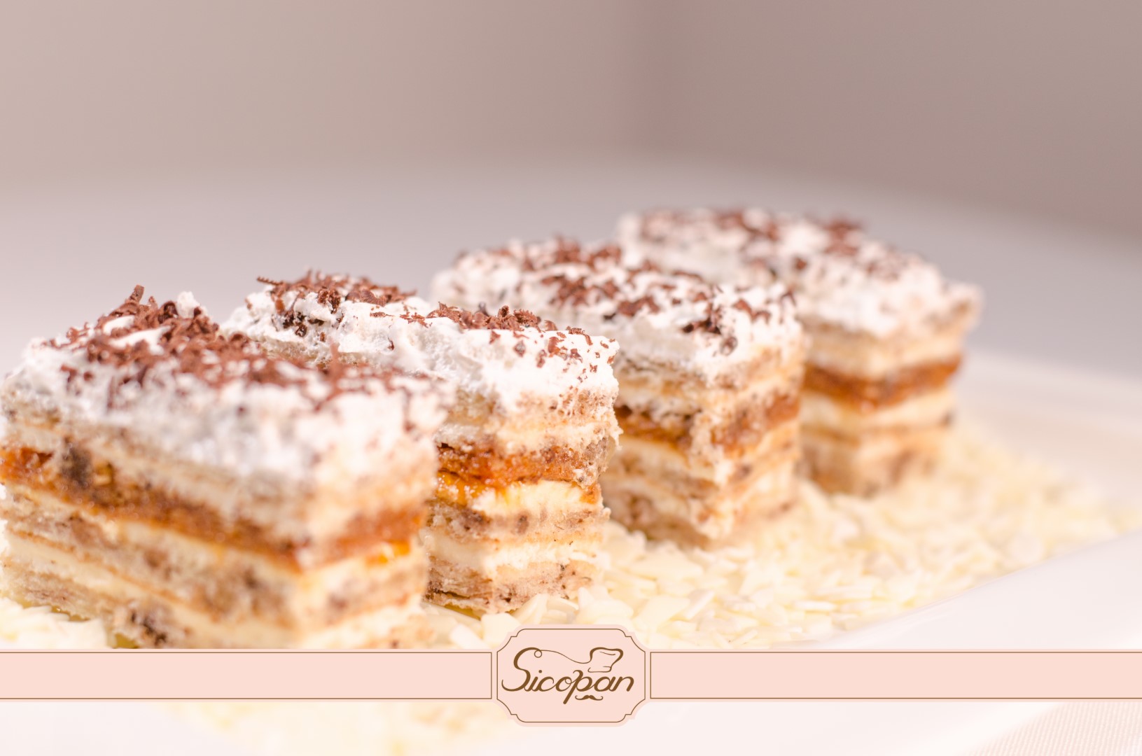 Petre Roman - imagine 4