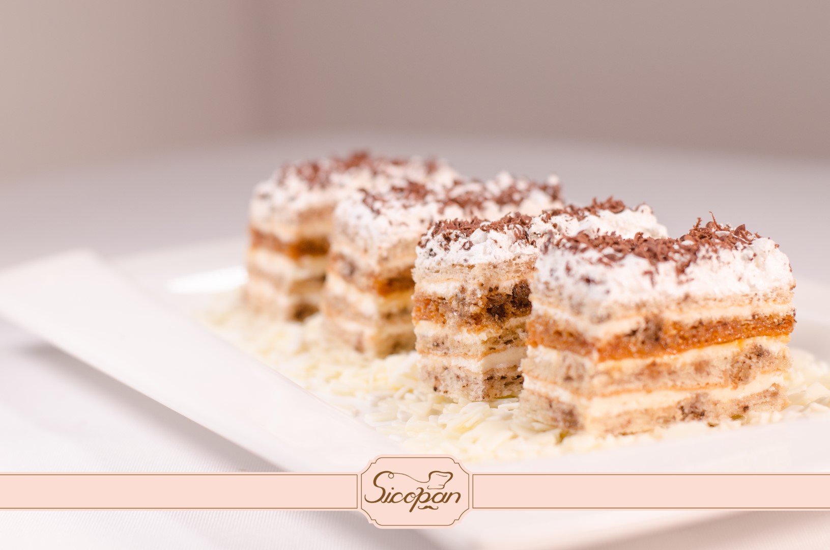 Petre Roman - imagine 3