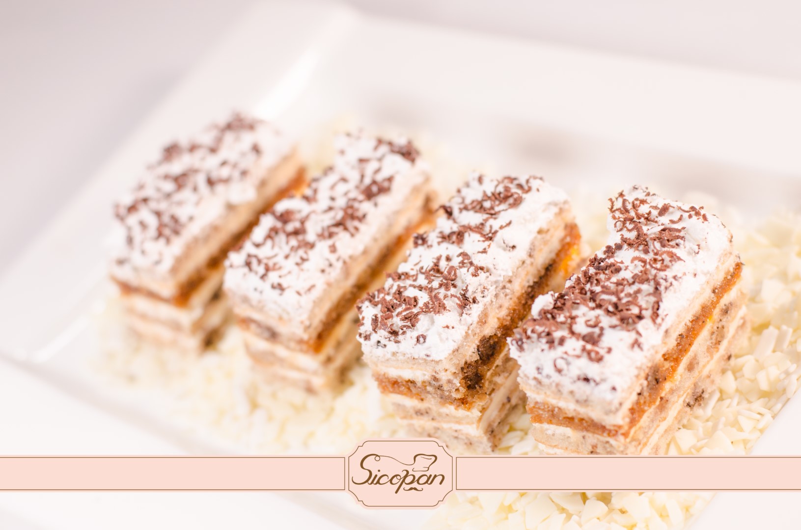 Petre Roman - imagine 6