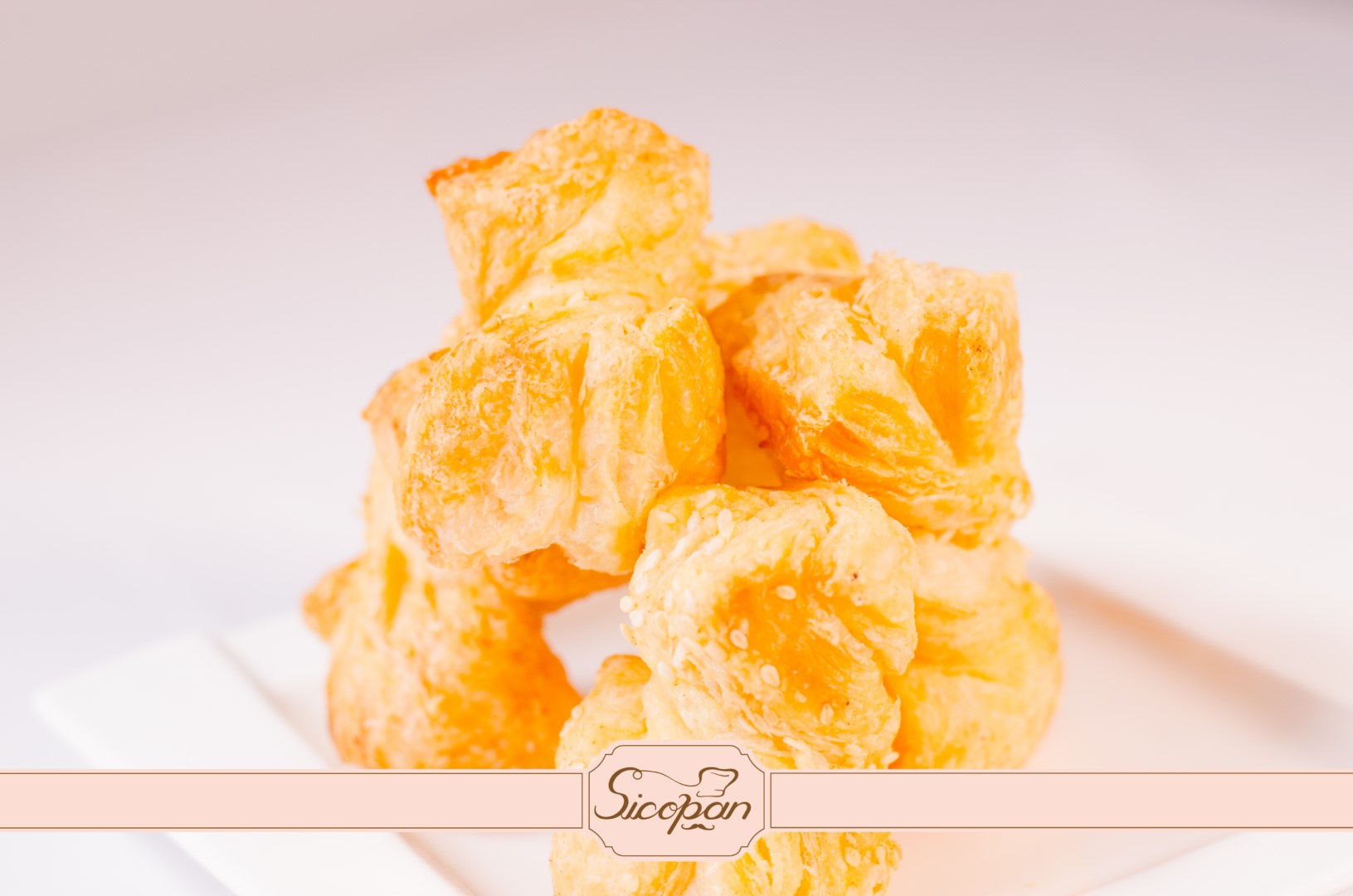 Saleuri fundiță - imagine 4