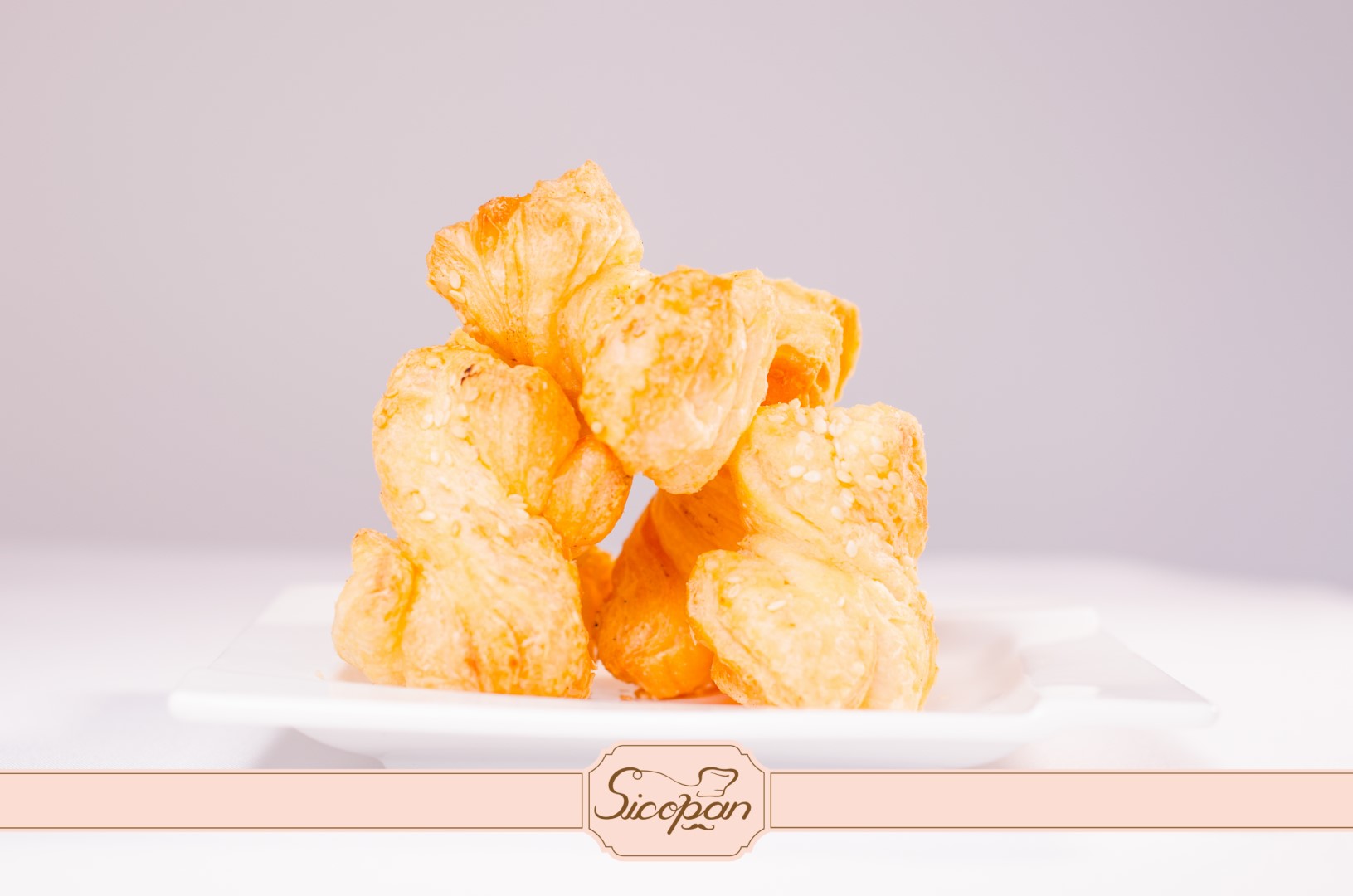 Saleuri fundiță - imagine 3